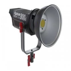 Aputure LS 300d - Kit de luz LED com Placa de Bateria Gold Mount