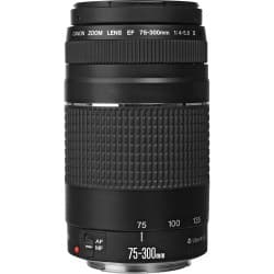 Canon - Lente EF 75-300mm f/4-5.6 III