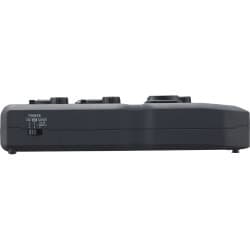 Zoom U-24 - Interface de Áudio/MIDI Portátil USB 2x4