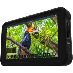Atomos Shinobi 5.2" - Monitor de Câmera (4K HDMI)