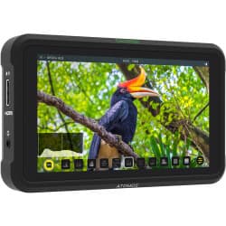 Atomos Shinobi 5.2" - Monitor de Câmera (4K HDMI)