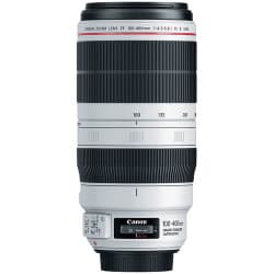 Canon - Lente EF 100-400mm f/4.5-5.6L IS II USM