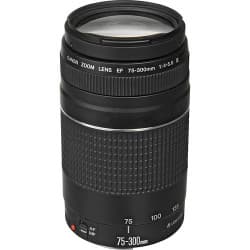Canon - Lente EF 75-300mm f/4-5.6 III