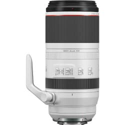Canon - Lente RF 100-500mm f/4.5-7.1 L IS USM