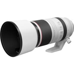 Canon - Lente RF 100-500mm f/4.5-7.1 L IS USM