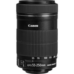 Canon - Lente EF-S 55-250mm f/4-5.6 IS STM