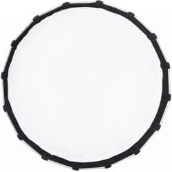 Aputure - Light Dome Mini II (21.5″)