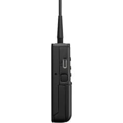 Sony UWP-D21 Microfone de Mão sem Fio para Câmera (UC14: 470 to 542 MHz)