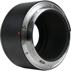 Laowa - Adaptador Venus Optics para Pro2be 24mm T8 (Canon RF-Mount)