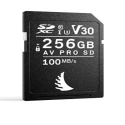 Angelbird - Cartão de Memória de 256 GB AV Pro UHS-I SDXC