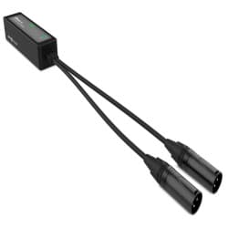 Audibax - Conversor Pro R22o Dante