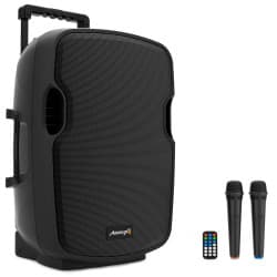 Audibax - Denver 15 Alto-falantes (Black)