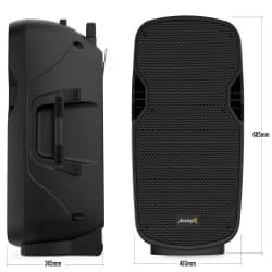 Audibax - Denver 15 Alto-falantes Plus (Black)