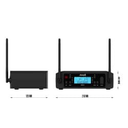 Audibax - AWM 201 Microfones portáteis sem fio (Black)