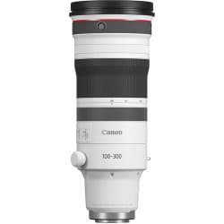 Canon - Lente 100-300mm f/2.8 L IS USM (RF Mount)