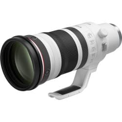 Canon - Lente 100-300mm f/2.8 L IS USM (RF Mount)