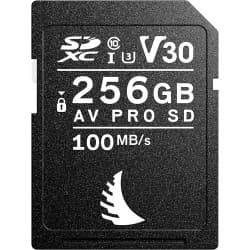 Angelbird - Cartão de Memória de 256 GB AV Pro UHS-I SDXC