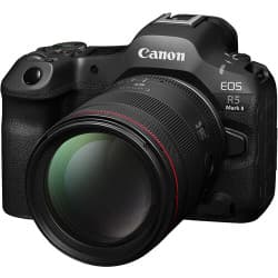 Canon - Lente 85mm f/1.4 L VCM (RF Mount)