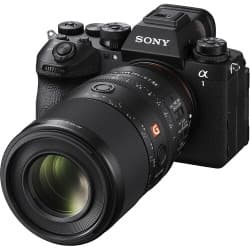 Sony - Lente FE 100mm f/2.8 Macro GM (Sony E)