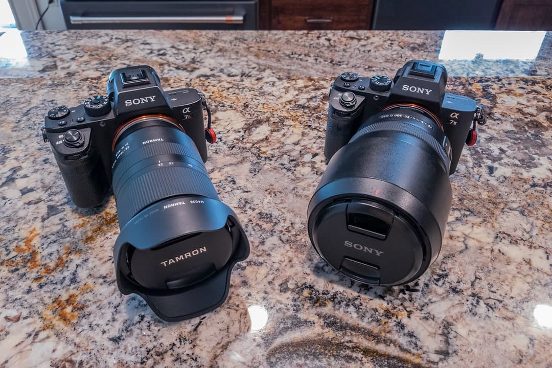 Dois corpos Sony Alpha mirrorless full-frame lado a lado